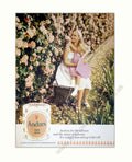 Andrex Soft Pink 4 Vintage Retro Advert Poster A4 Photo Print