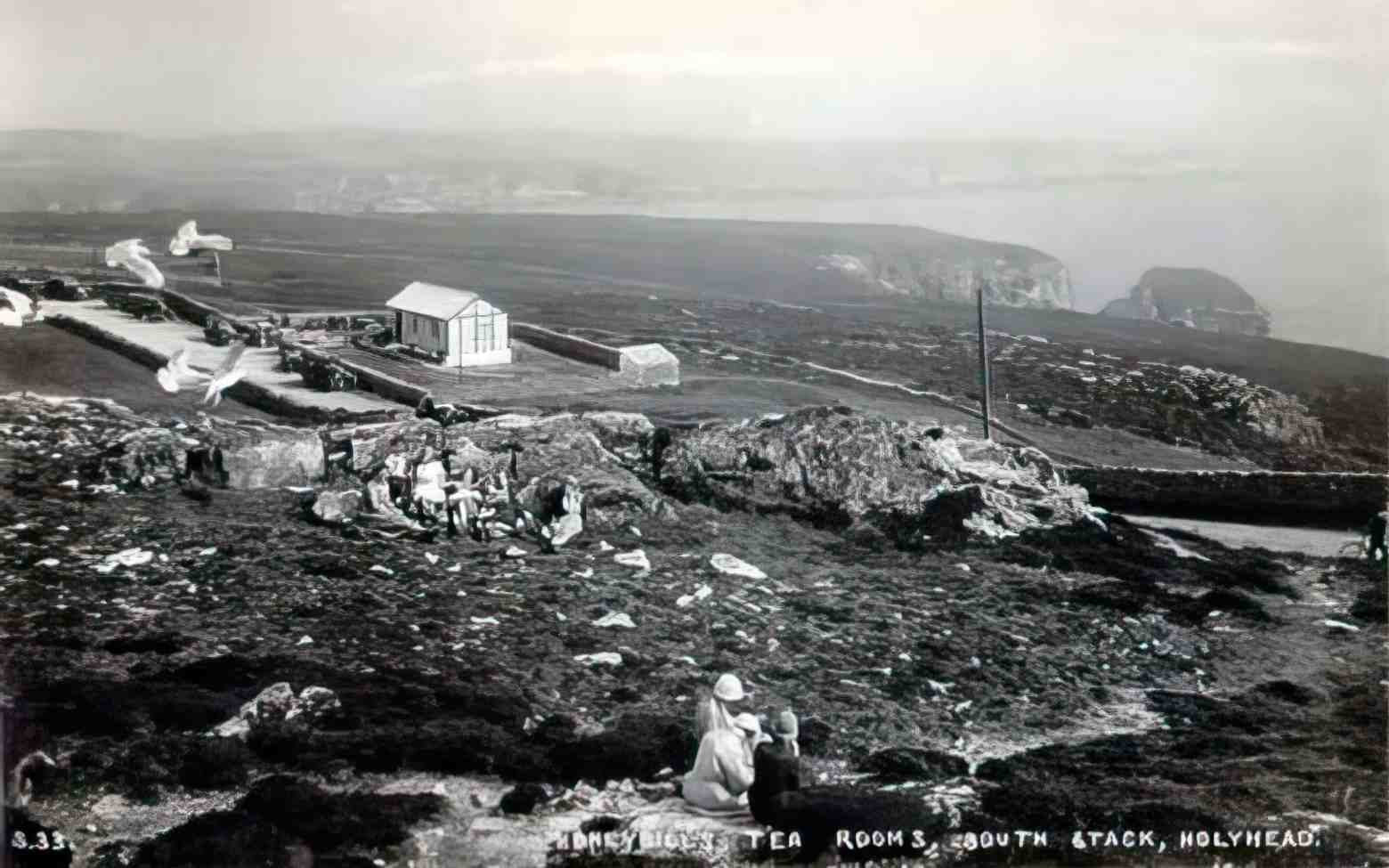 Anglesey Holyhead Tea Rooms South Stack 1930 Vintage A4 Photo Print