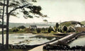 Anglesey Menai Straits Church Island from the Woods 1900's Vintage A4 Photo Print