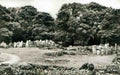 Anglesey Moelfre Din Lligwy Vintage A4 Photo Print