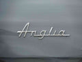 Anglia Bonnet Grille 2655 A4 Photo Print