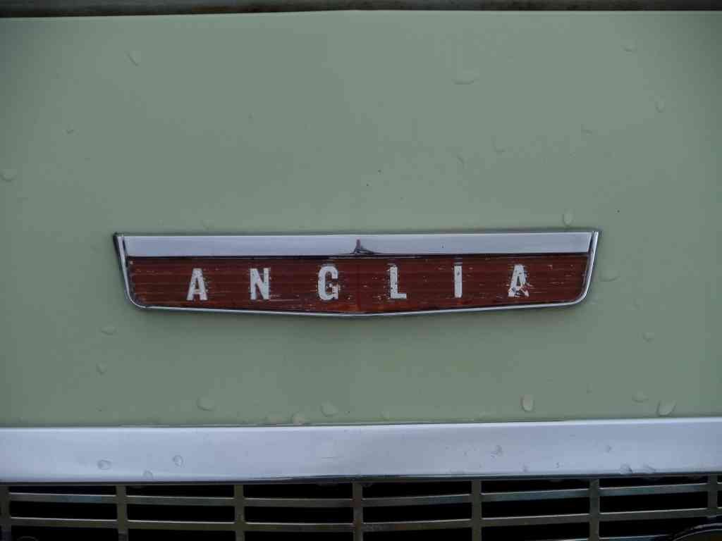Anglia Bonnet Grille 2659 A4 Photo Print
