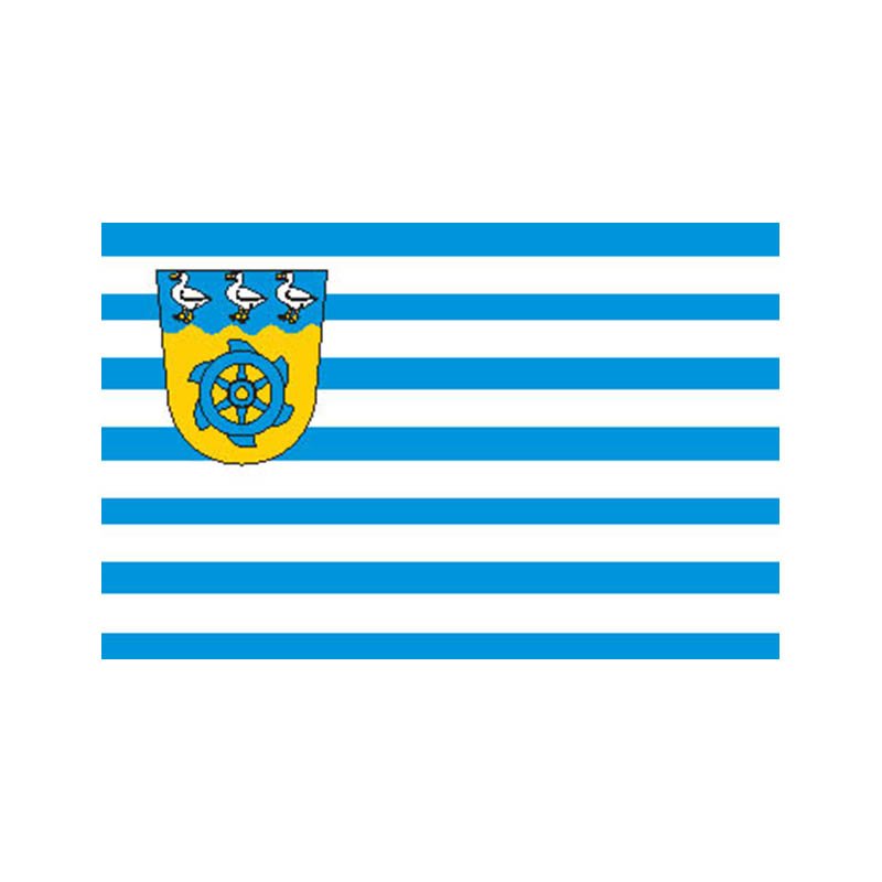 Anija Vald Flag N2794 A4 Photo Print