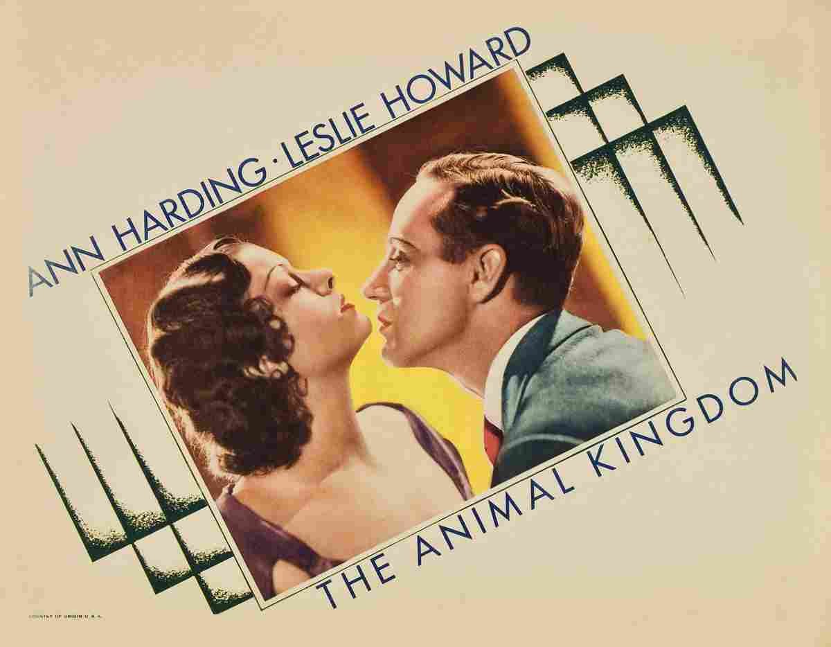 Animal Kingdom The 03 film star poster A4 Photo Print