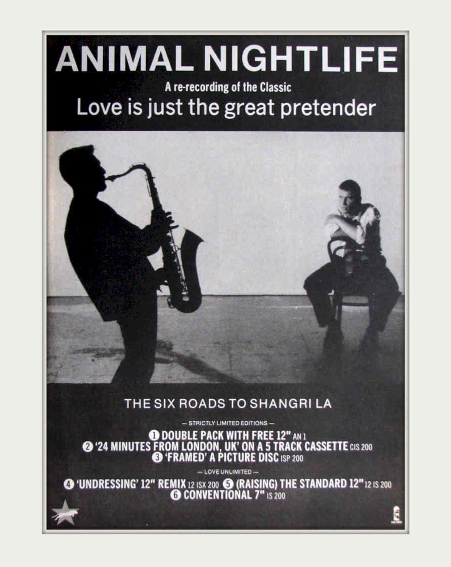Animal Nightlife Cassette Vintage Retro Advert Poster A4 Photo Print