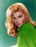 Ann Margret 10 film star poster A4 Photo Print