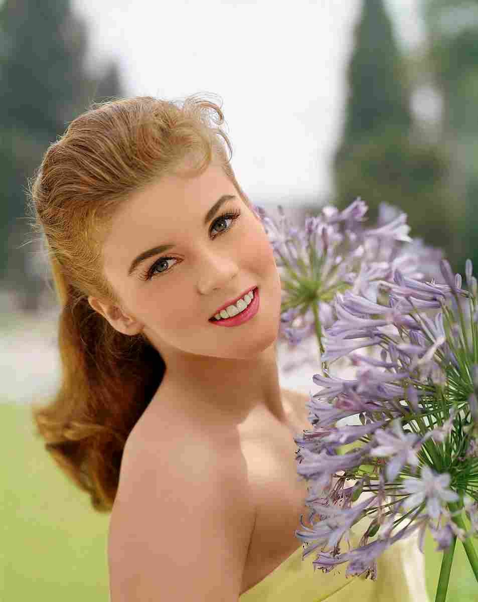 Ann Margret 13 film star poster A4 Photo Print
