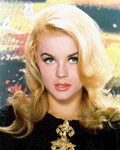 Ann Margret 19 film star poster A4 Photo Print