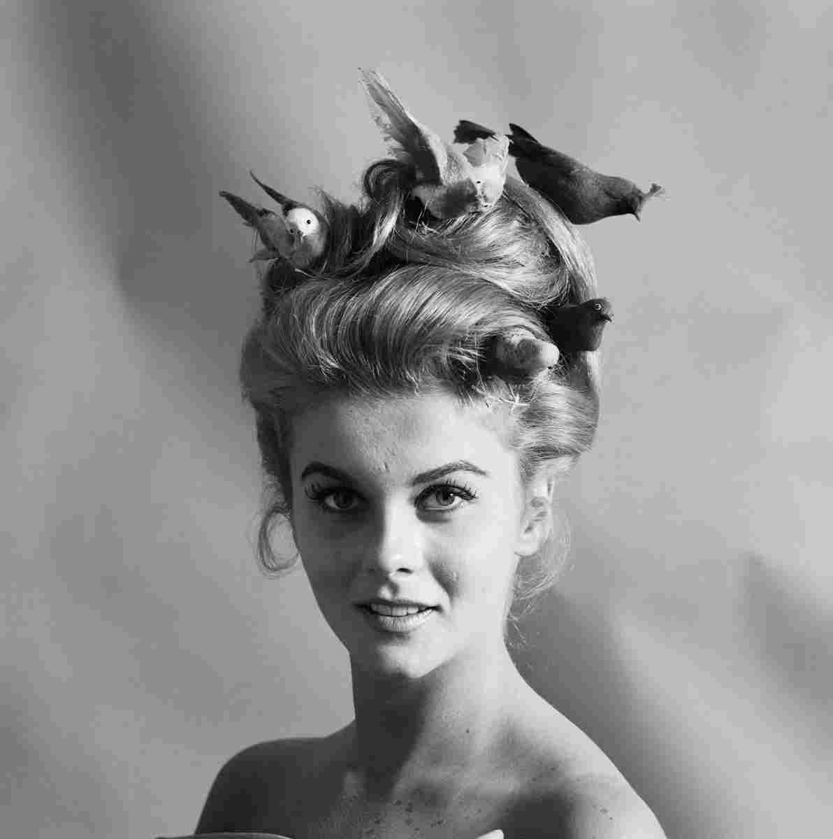 Ann Margret 23 film star poster A4 Photo Print
