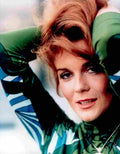 Ann Margret 25 film star poster A4 Photo Print