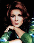 Ann Margret 26 film star poster A4 Photo Print