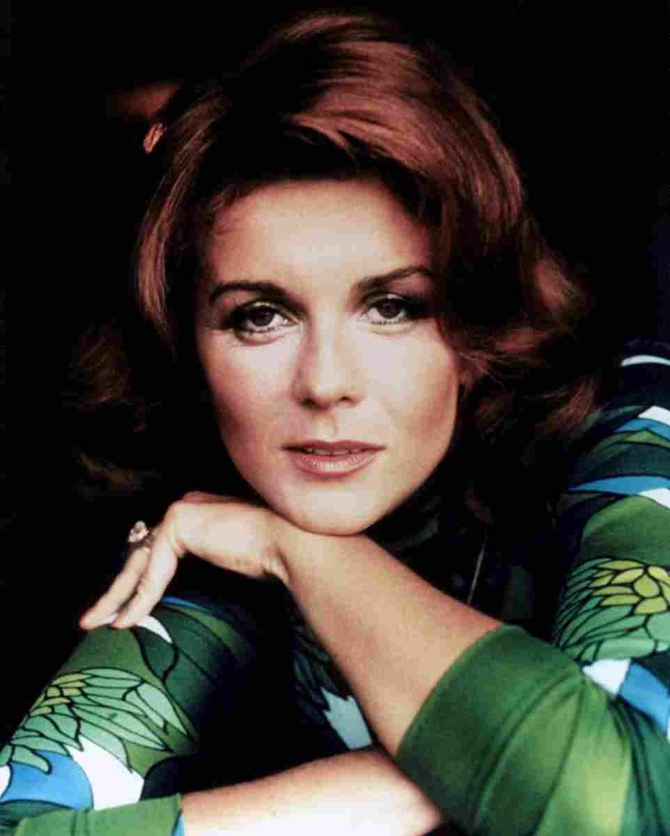 Ann Margret 26 film star poster A4 Photo Print