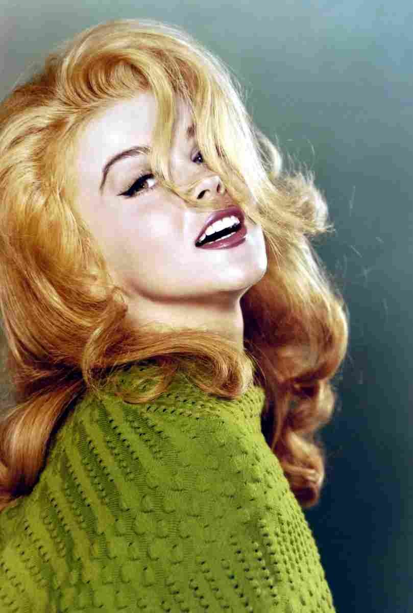Ann Margret 27 film star poster A4 Photo Print