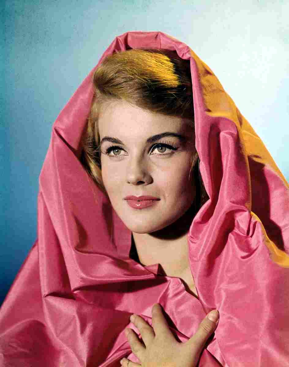 Ann Margret 3 film star poster A4 Photo Print