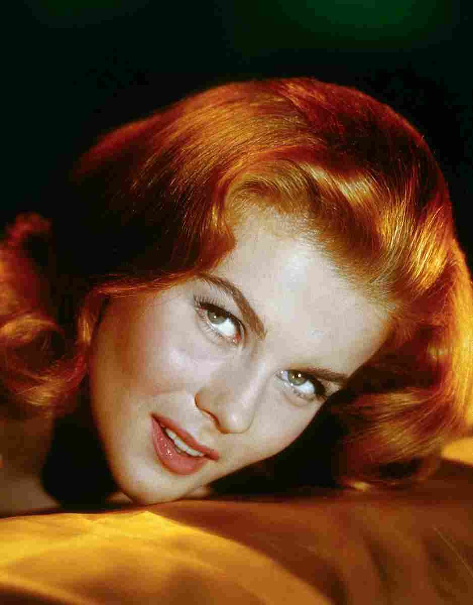 Ann Margret 30 film star poster A4 Photo Print
