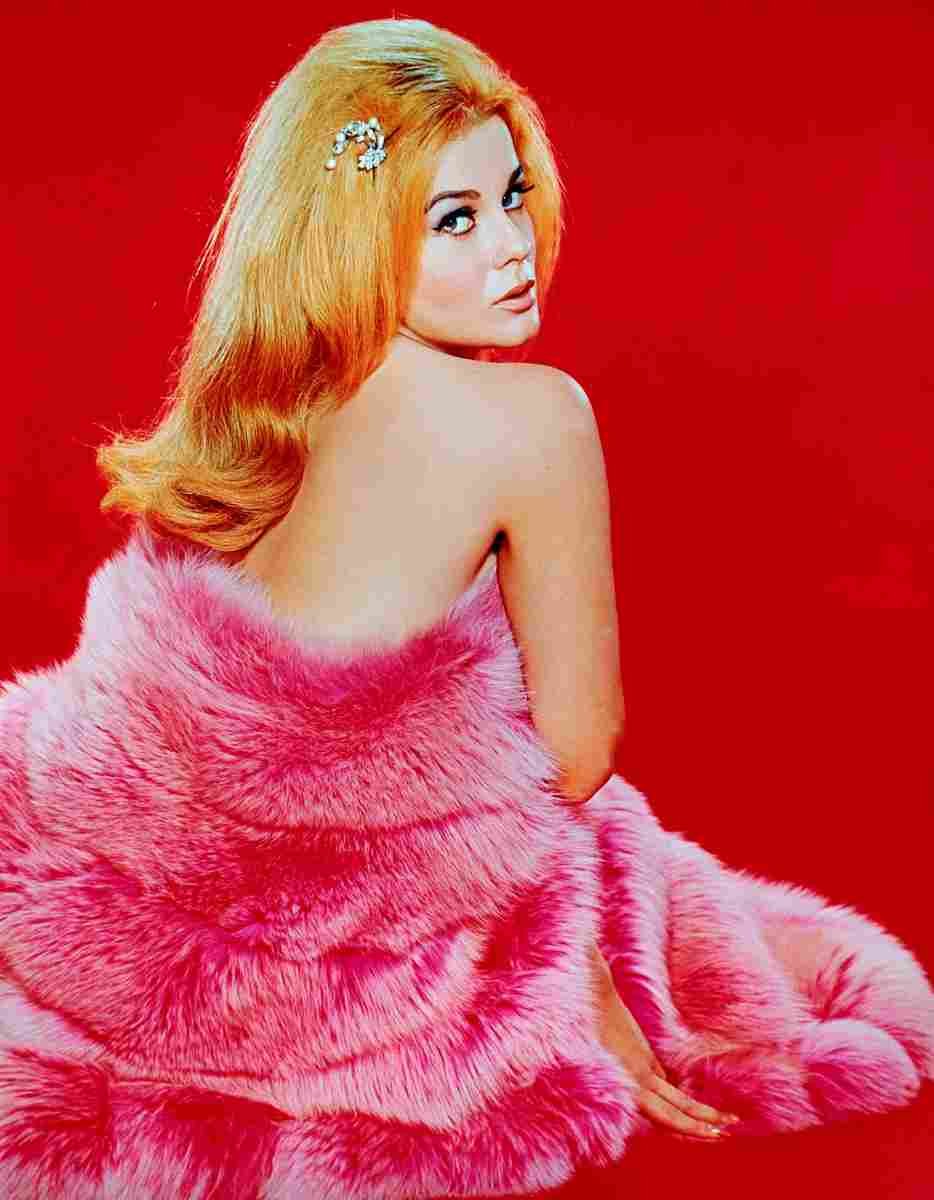 Ann Margret 48 film star poster A4 Photo Print