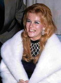 Ann Margret 52 film star poster A4 Photo Print
