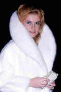 Ann Margret 53 film star poster A4 Photo Print