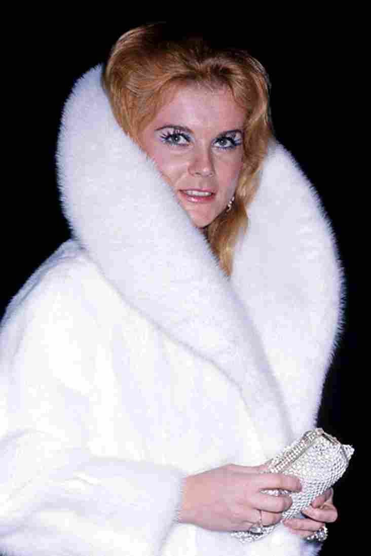 Ann Margret 53 film star poster A4 Photo Print