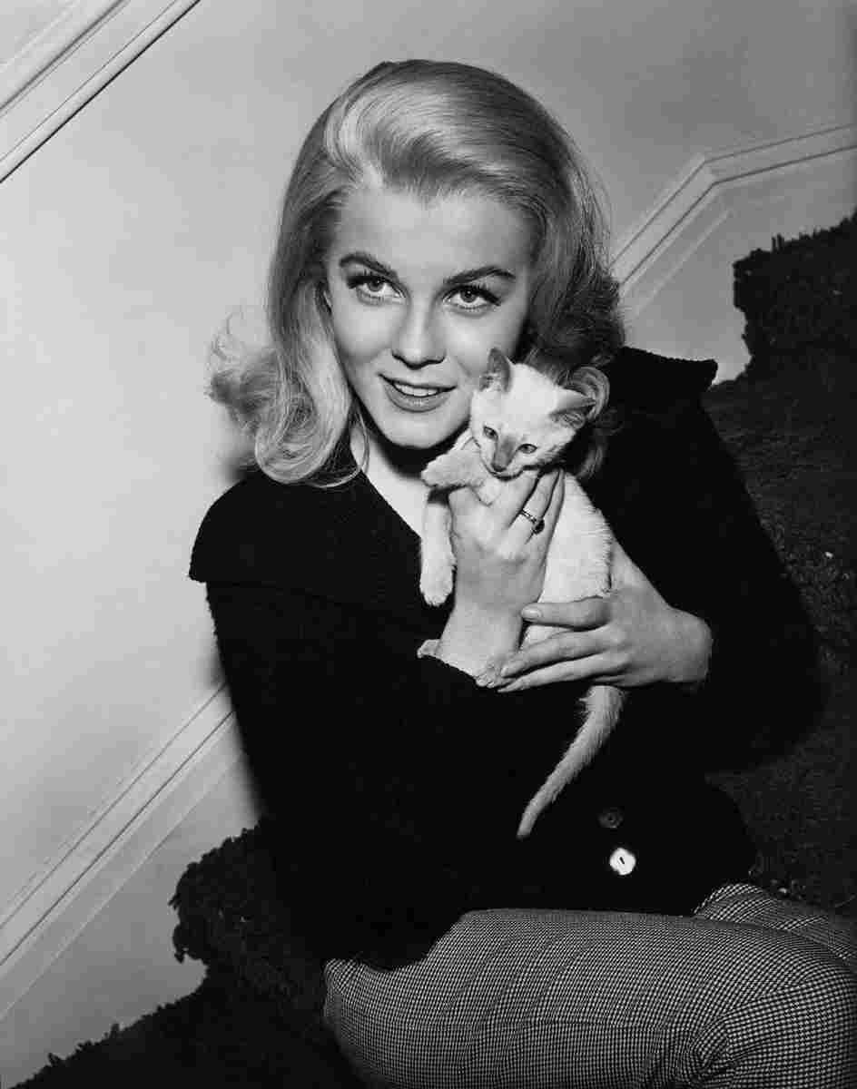 Ann Margret 57 film star poster A4 Photo Print
