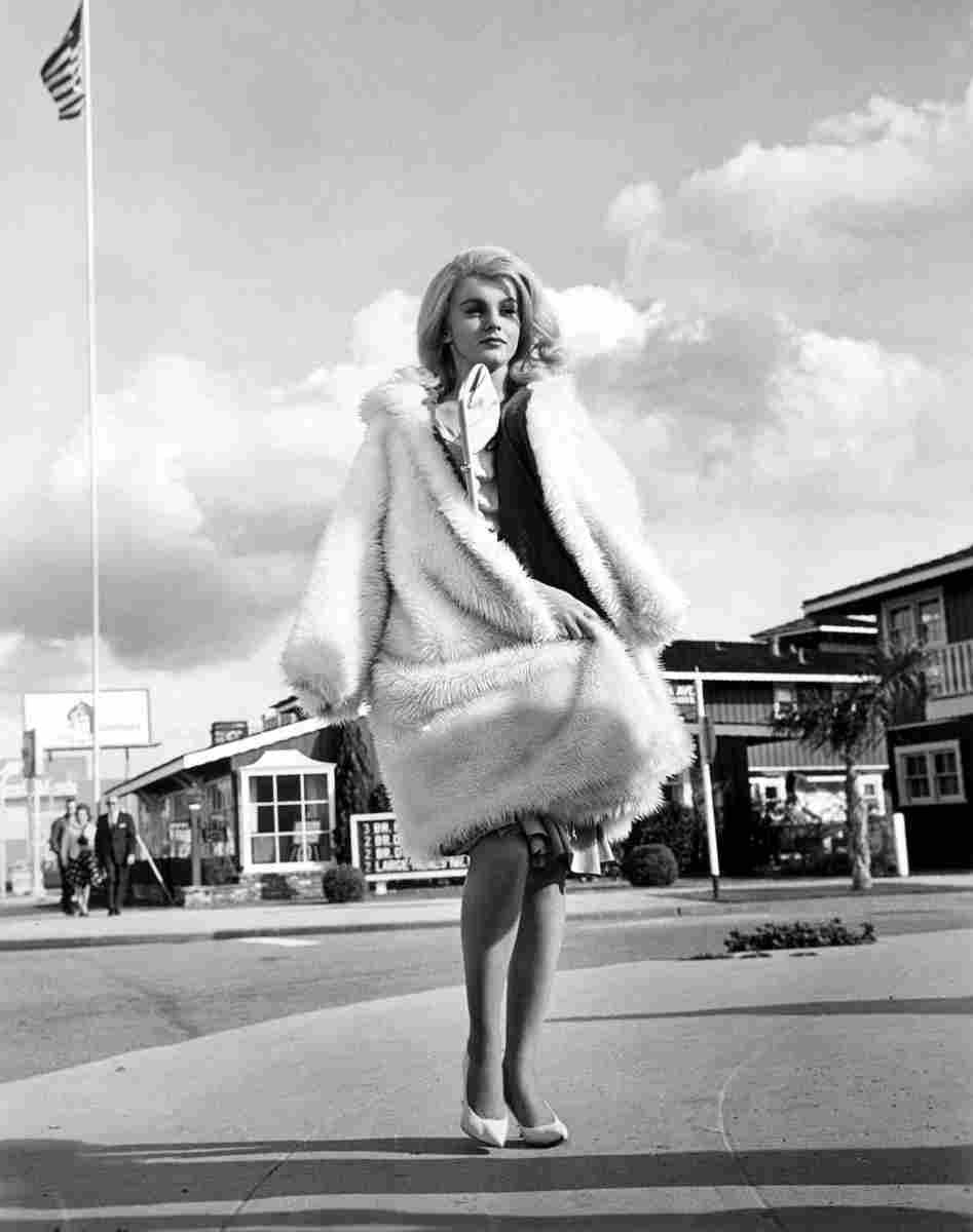 Ann Margret Kitten With a Whip 1 film star poster A4 Photo Print