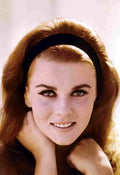 Ann Margret Stagecoach 1 film star poster A4 Photo Print