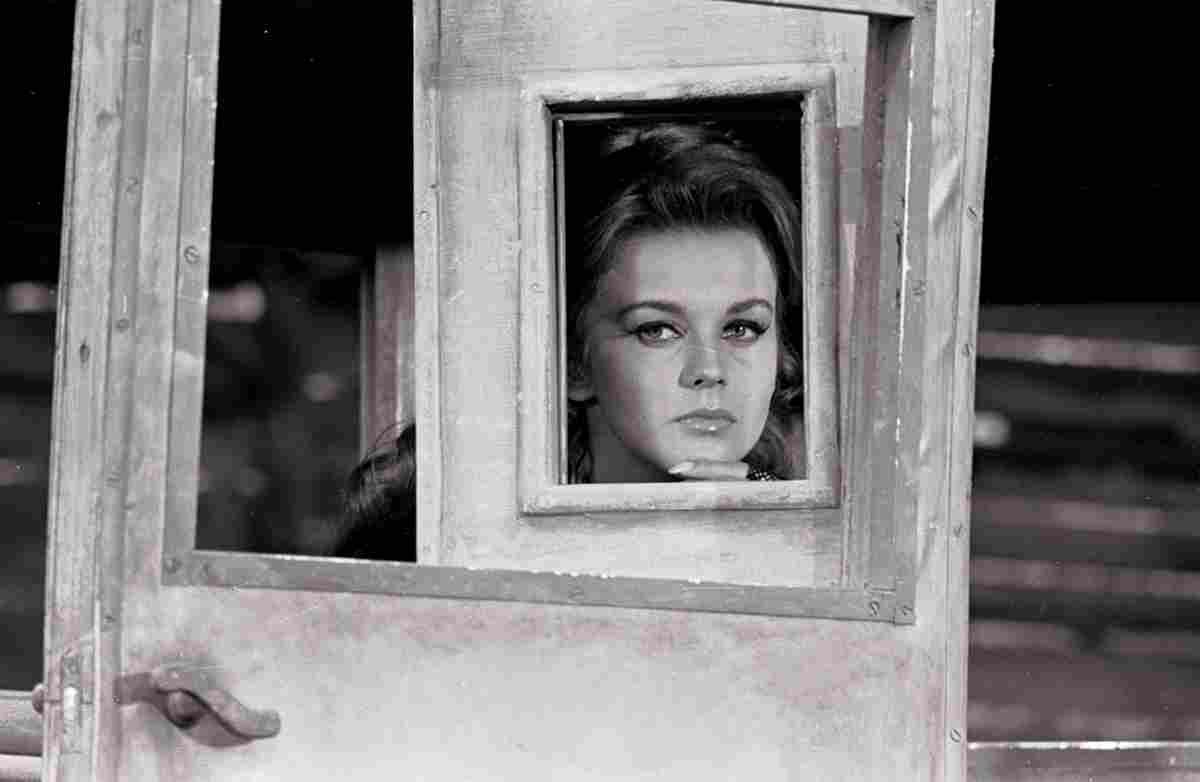 Ann Margret Stagecoach z1 film star poster A4 Photo Print