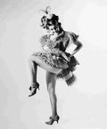 Ann Margret Stagecoach z2 film star poster A4 Photo Print