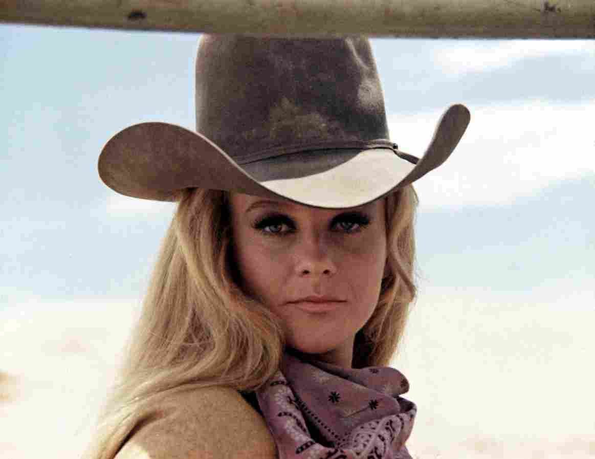 Ann Margret Train Robbers The 1 film star poster A4 Photo Print
