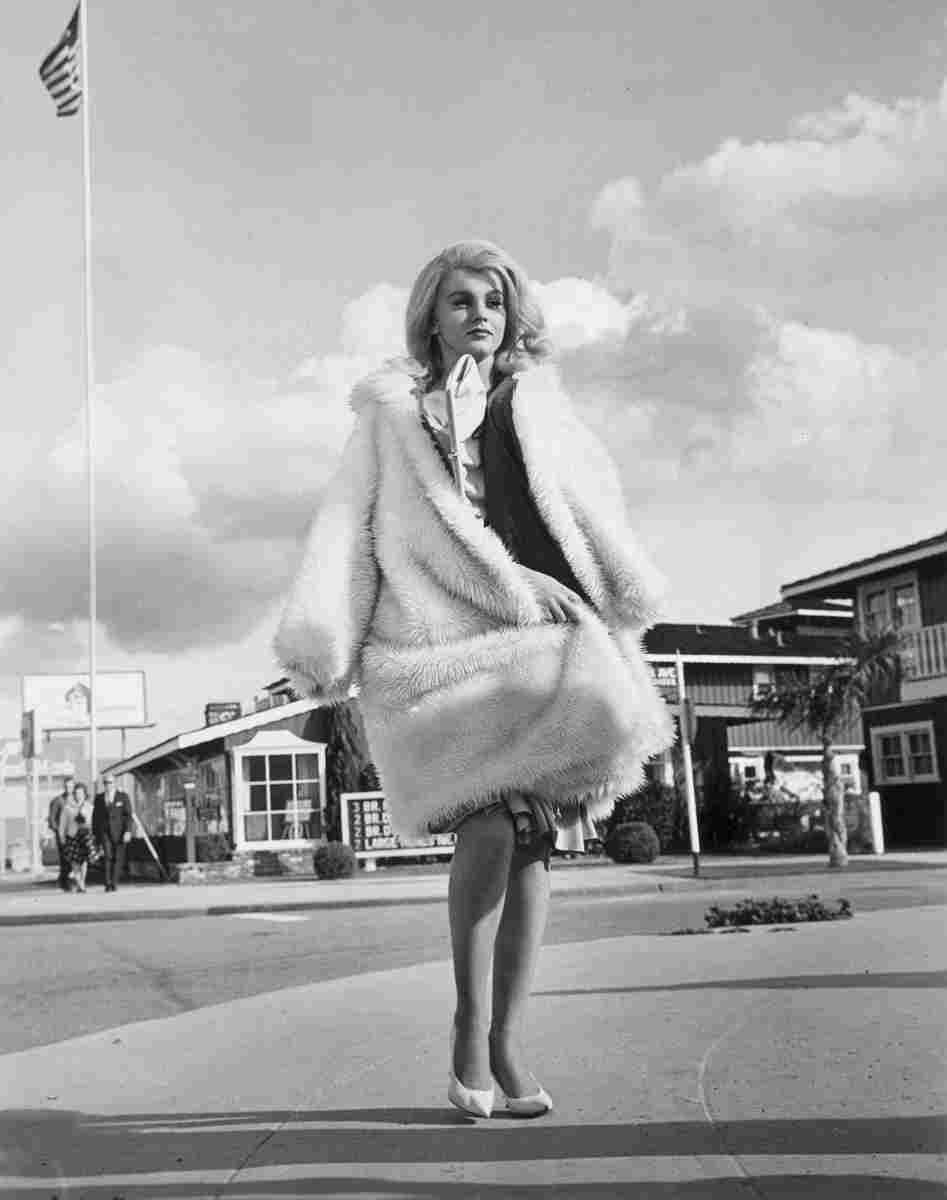 Ann Margret z7 film star poster A4 Photo Print