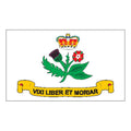 Annapolis City Flag N6355 A4 Photo Print