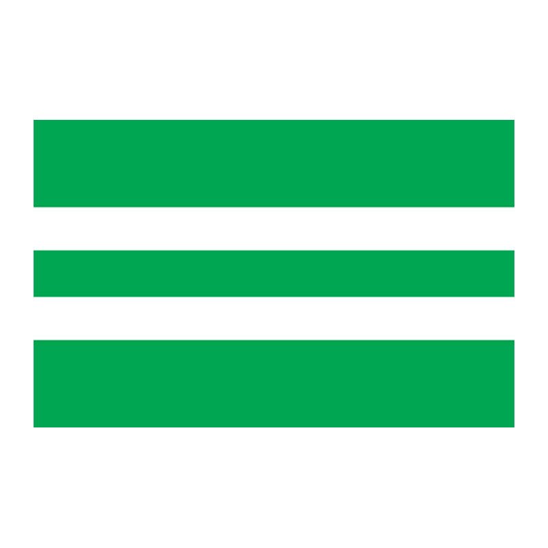 Antsla Vald Flag N2796 A4 Photo Print