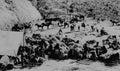 Apache Indians delivering hay Fort Apache Ariz 1893 Military A4 Photo Print