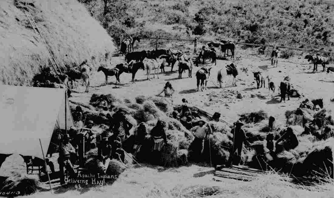 Apache Indians delivering hay Fort Apache Ariz 1893 Military A4 Photo Print