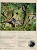 Apple Tree Policy Vintage Retro Advert Ads A4 Photo Print