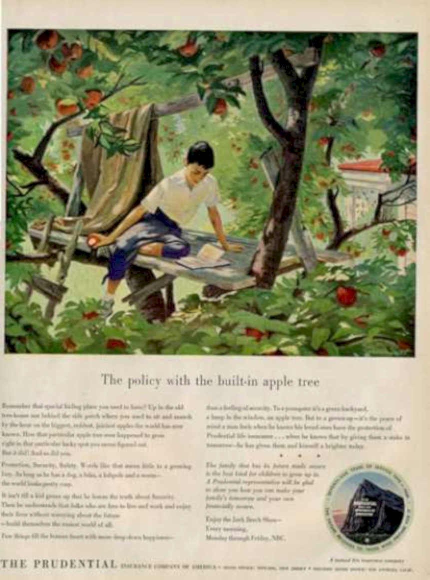 Apple Tree Policy Vintage Retro Advert Ads A4 Photo Print