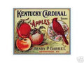 Apples 198 advert A4 Photo Print