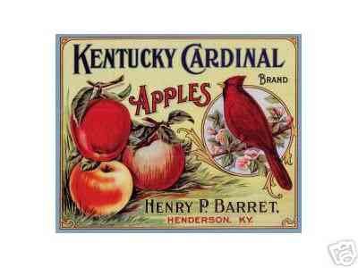 Apples 198 advert A4 Photo Print