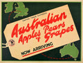 Apples Grapes Trade Vintage Retro Advert Poster A4 Photo Print
