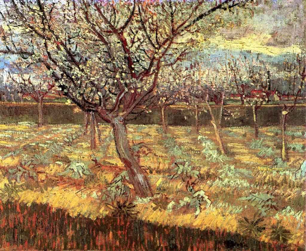 Apricot Trees In Blossom2 Van Gogh A4 Photo Print
