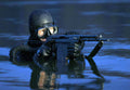 Aps Underwater Assault Rifle 2 (2) Military A4 Photo Print