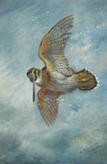 Archibald Thorburn caught in a blizzard woodcock 2020 A4 Photo Print