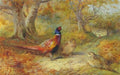 Archibald Thorburn in the oakwood pheasants A4 Photo Print