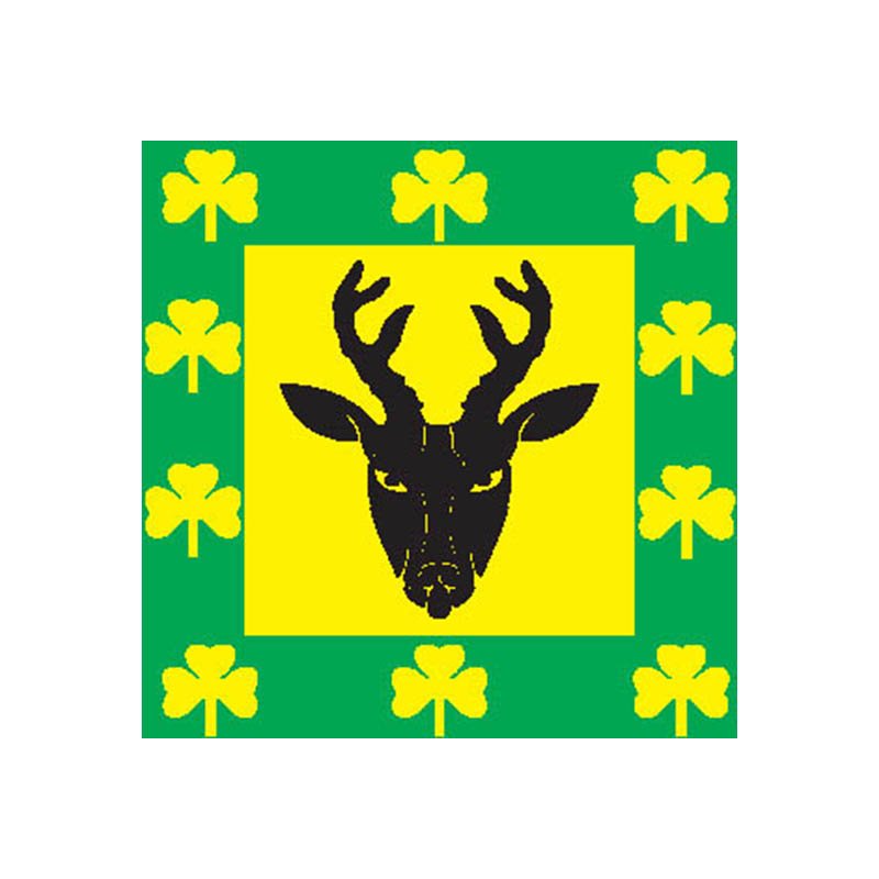 Are Vald Flag N2800 A4 Photo Print