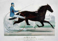 Arion Horse 001 Vintage A4 Photo Print