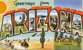 Arizona Luggage Label Vintage A4 Photo Print
