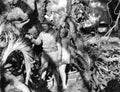 Arlen Richard Come On Marines 1 film star poster A4 Photo Print