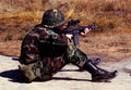 Armalite Colt Ar15 4 Military A4 Photo Print