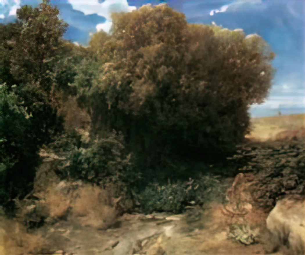 Arnold Bocklin campagna landscape 1858 Art A4 Photo Print