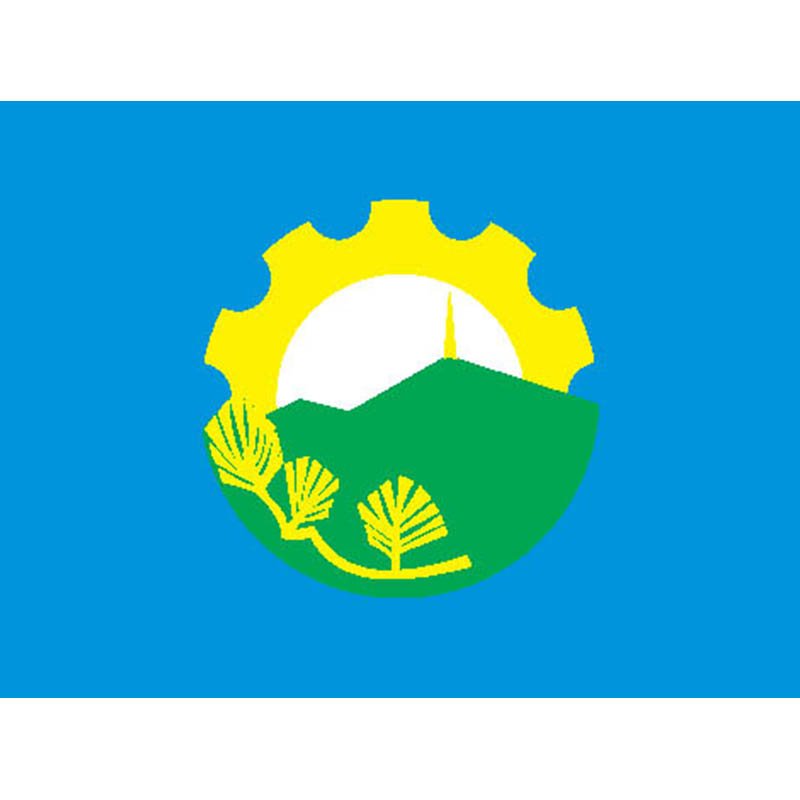 Arseniev City Flag N2056 A4 Photo Print